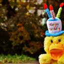 The duck and the pretty hat  screen for extension Chrome web store in OffiDocs Chromium