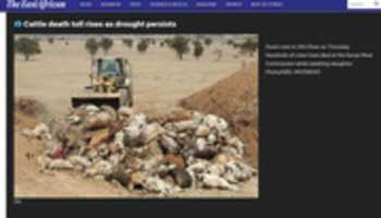 Free download The East African free photo or picture to be edited with GIMP online image editor