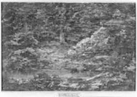 Free download The Edge of the Woods free photo or picture to be edited with GIMP online image editor