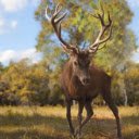 The Elegant Deer: A Gentle Icon of the Wilderness  screen for extension Chrome web store in OffiDocs Chromium