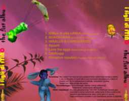 Free download the fist album - CD cover free photo or picture to be edited with GIMP online image editor