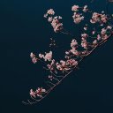 The flower branches are shady  screen for extension Chrome web store in OffiDocs Chromium