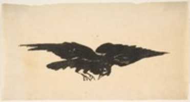 Free download The Flying Raven, Ex Libris for The Raven by Edgar Allan Poe free photo or picture to be edited with GIMP online image editor