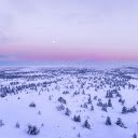 the frozen expanse of the Arctic from above  screen for extension Chrome web store in OffiDocs Chromium