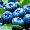 The fruit blueberry blue  screen for extension Chrome web store in OffiDocs Chromium