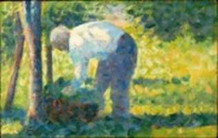 Free download The Gardener free photo or picture to be edited with GIMP online image editor