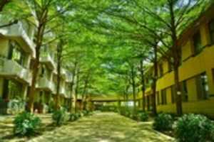 Free download The Green of School free photo or picture to be edited with GIMP online image editor