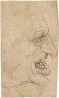 Free download The Head of a Grotesque Man in Profile Facing Right free photo or picture to be edited with GIMP online image editor