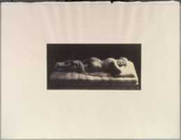 Free download The Hermaphrodite free photo or picture to be edited with GIMP online image editor