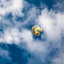 The hot air balloon is flying high  screen for extension Chrome web store in OffiDocs Chromium