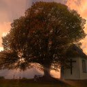 The house under the tree  screen for extension Chrome web store in OffiDocs Chromium