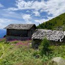 The hut next to the flower hill  screen for extension Chrome web store in OffiDocs Chromium