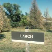 Free download The Larch free photo or picture to be edited with GIMP online image editor