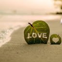 The leaf of love sparkles  screen for extension Chrome web store in OffiDocs Chromium