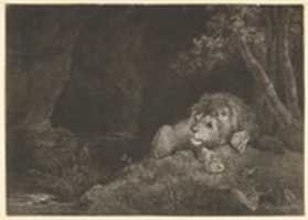 Free download The Lyon (Recumbent Lion by a Pool) free photo or picture to be edited with GIMP online image editor