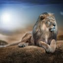 The Majestic King of the Savannah  screen for extension Chrome web store in OffiDocs Chromium