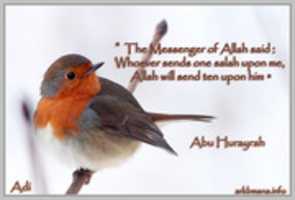 Free download The Messenger Of Allah free photo or picture to be edited with GIMP online image editor