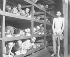 Descarga gratuita La foto más famosa del holocausto, por supuesto, resultó ser falsa. foto o imagen gratis para editar con el editor de imágenes en línea GIMP