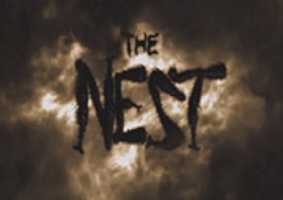 Free download The Nest Poster HD Small free photo or picture to be edited with GIMP online image editor