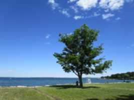 Free download The North Kingstown Town Beach Landscape free photo or picture to be edited with GIMP online image editor