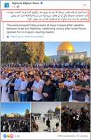 Gratis download De Palestijnse strijd met Israël na het staakt-het-vuren gratis foto of afbeelding om te bewerken met GIMP online afbeeldingseditor