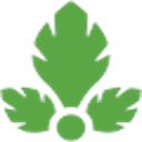 The Parse.ly Validator  screen for extension Chrome web store in OffiDocs Chromium