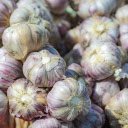 The purple radishes are delicious  screen for extension Chrome web store in OffiDocs Chromium