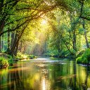 The River Under the Sunlit Forest  screen for extension Chrome web store in OffiDocs Chromium