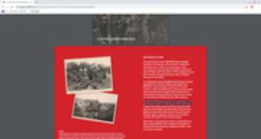 Free download The Roma Holocaust free photo or picture to be edited with GIMP online image editor