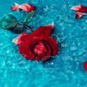 The rose lies in the water  screen for extension Chrome web store in OffiDocs Chromium