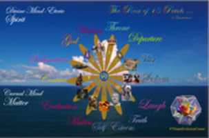 Free download The Rose of 13 Petals ... in Duodecimal Math free photo or picture to be edited with GIMP online image editor