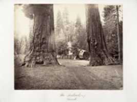 Free download The Sentinels, 315 feet, Yosemite free photo or picture to be edited with GIMP online image editor