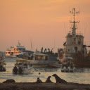 The ship comes ashore  screen for extension Chrome web store in OffiDocs Chromium