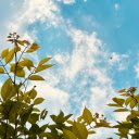 The sky is clear and high  screen for extension Chrome web store in OffiDocs Chromium