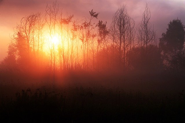 Laden Sie kostenlos das Bild der Morgendämmerung hinter der Landschaft herunter, das mit dem kostenlosen Online-Bildeditor GIMP bearbeitet werden kann