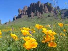 Free download The Superstition Mountain The Mountain Beauty With Mystery 5 free photo or picture to be edited with GIMP online image editor