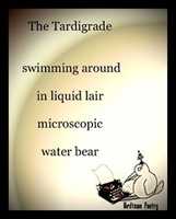 Free download The Tardigrade free photo or picture to be edited with GIMP online image editor