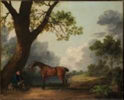 Free download The Third Duke of Dorsets Hunter with a Groom and a Dog free photo or picture to be edited with GIMP online image editor