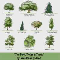 ดาวน์โหลดฟรี The Topic Today Is Trees รูปภาพหรือรูปภาพฟรีที่จะแก้ไขด้วยโปรแกรมแก้ไขรูปภาพออนไลน์ GIMP