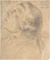 Free download The Upturned Head of a Young Boy in Profile free photo or picture to be edited with GIMP online image editor