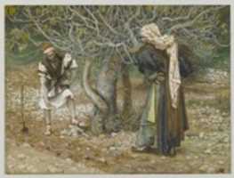 Free download The Vine Dresser and the Fig Tree (Le vigneron et le figuier) free photo or picture to be edited with GIMP online image editor