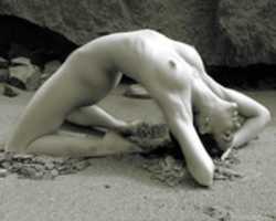 Free download The Virgins Eye Project of Fine Art Nude Photography free photo or picture to be edited with GIMP online image editor