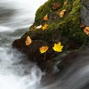 The water flows fast  screen for extension Chrome web store in OffiDocs Chromium