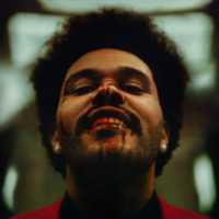 Free download The Weeknd - After Hours  (CD/album cover) free photo or picture to be edited with GIMP online image editor