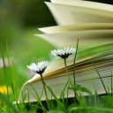 The wind turns the pages of the book  screen for extension Chrome web store in OffiDocs Chromium