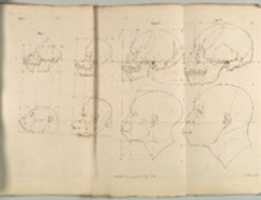 Free download The Works of the late Professor Camper, on The Connexion [sic] between the Science of Anatomy and The Arts of Drawing, Painting, Statuary &c. &c. free photo or picture to be edited with GIMP online image editor