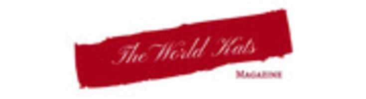 Free download The World Kats ( 6) free photo or picture to be edited with GIMP online image editor