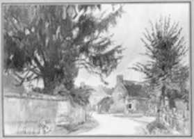 Free download The Yew Tree free photo or picture to be edited with GIMP online image editor