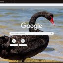 Thien nga den  screen for extension Chrome web store in OffiDocs Chromium