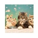 This Cat Does Not Exist New Tab  screen for extension Chrome web store in OffiDocs Chromium